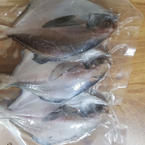 동해 해풍건조 반건조 생선 병어(3마리) 20cm내외 찜,구이,선물용 특가판매